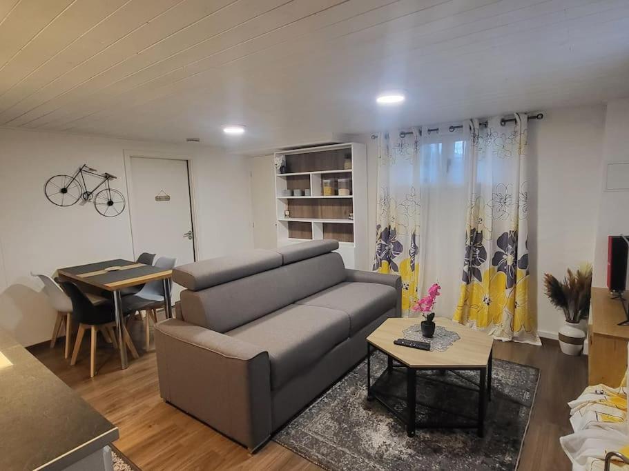 Appartement 2 Pieces Pres Du Lac De Bouzey Sanchey Εξωτερικό φωτογραφία